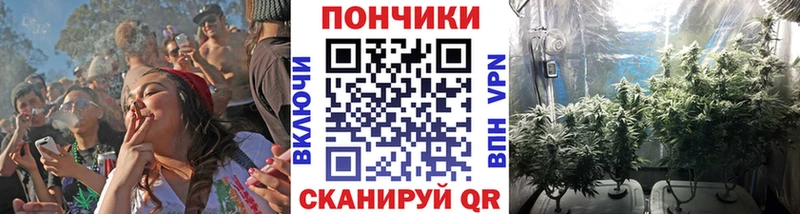 наркотики  Балтийск  Канабис OG Kush 